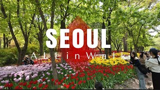 Seoul Forest | 韓国·ソウル·ソウルの森 | 서울숲 | Seoul Travel | Korea | 서울 | 4K Video | 4K Walk Seoul