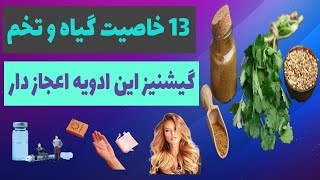 آیا از خواص گشنیز این گیاه معجزه‌آسا اطلاع دارید ؟ | خواص گشنیز