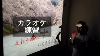 2016 時の流れに身をまかせ(任時光身邊流逝) - 鄧麗君