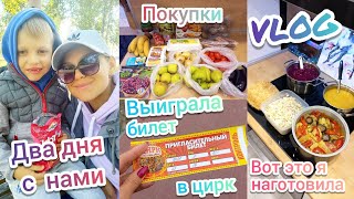 VLOG:Безсонная ночь😴Кирюша первый раз в цирке🎪Ну и цены😮Вкусное и разнообразное меню🍲