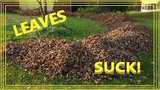 Fastest way to rake leaves!