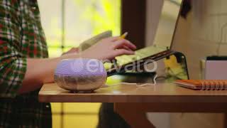 Female Entrepreneur Working From Home | Stock Footage - Envato elements