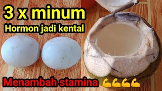 Telur bebek+madu+air kelapa||Luar Biasa