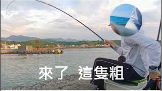 【北海岸海釣】北海岸富基漁港 大咬釣況 新加配樂、字幕版 2022/6/25(Fuji Fishing Port of Taiwan’s Northern Coast)