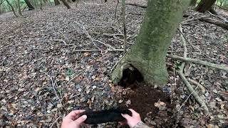 EAST COAST METAL DETECTING SILVER HIDDEN IN A 2022 TREE CASH!