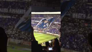 Recibimiento Gallos vs Chivas Final Copa Mx 2016