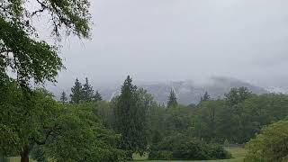 rain and fog on burnaby mountain