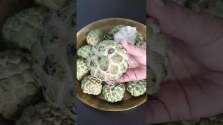 Sweet Sitafal/सीताफळ/Custard Apple#shorts#