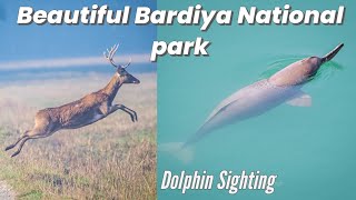 Dolphin in Bardiya National Park🇳🇵It's not just about Tigers & Rhino, Bardiya has much more to offer