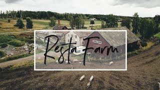 Organic Farming In Sweden, Do Your Food Matter? Visiting Resta Farm