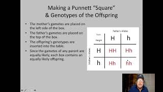 B6-3 Punnett Squares