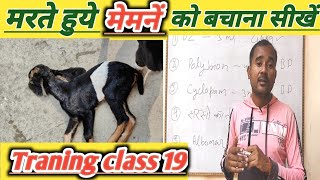 Goatfarming Training Vimalumrao |Bakri Ke Marte Huye Bacche Ko Bachana sikhe