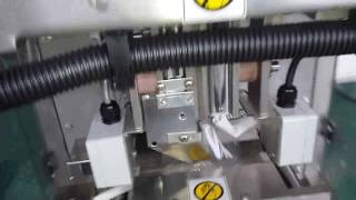 50g bag fully auto packing machine..