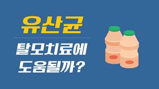 유산균이 탈모치료에 도움이 될까?