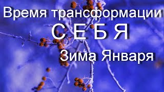 Природа Зима Января в ритмах движения Солнца и влияние ее на человека. Как  использовать во благо?