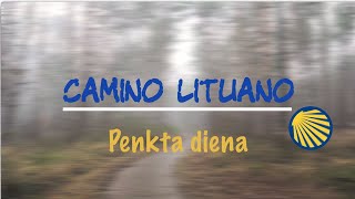 Camino Lituano - diena 5 | Rosalimas - Burbiškio dvaras | Užpuolė šuo