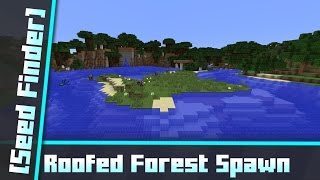 Roofed Forest Spawn - All biomes around [Seed Finder] 065