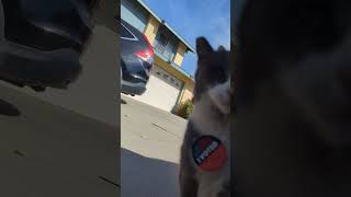 Charlie voted