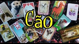 Significados - Carta nº 18 - O Cão - 10 de Copas