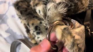 Fur Tote Bag ASMR - No Talking - Rummaging Sounds Relaxing