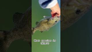 Smallmouth or Mean mouth??? 😳 #bassfishing #shortvideo #shorts