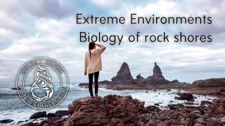 Simple Marine Biology lecture - Extreme Environments: The Rock Coast