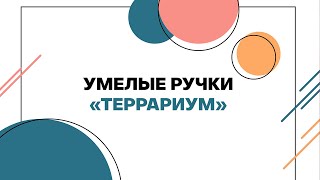 Умелые ручки | 2020 Террариум