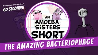 Bacteriophages - Amoeba Sisters #Shorts