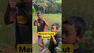 MENCARI TUTUT SAWAH #part3 #shortvideo #shorts