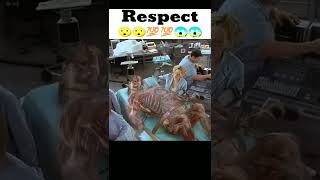 Respect #shorts #gamingyas