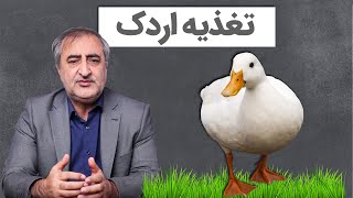 تغذیه اردک Duck Feeding