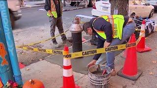 Brooklyn crew paves over community goldfish pond | NBC New York