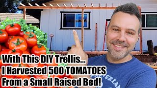 Grow Way More Tomatoes In Less Space! - Best Way to Trellis Tomatoes EVER!!!