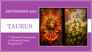 TAURUS - SEPTEMBER 2024 - A BLESSED CONNECTION IS BRINGING GREAT HAPPINESS!