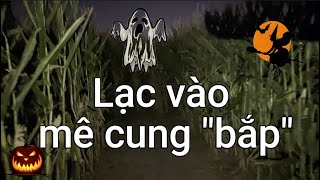 Cùng con và cháu đi chơi Halloween| Dung Võ Vàm Cỏ