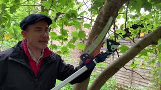 Pruning Trees with the Spear & Jackson Super Long Reach Cutter