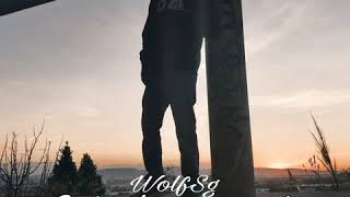 Wolf Sg - Acto de Presencia (Audio)