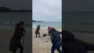 Week before Xmas on the #beach in #falmouth #cornwall #dog #holidays #travel #labrador #doglover