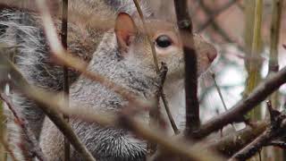 Feeding Birds at Seiberling Nature Realm - Akron, Ohio