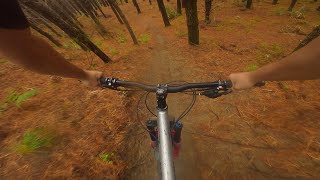 Shred The Needle (2023) // Woodhill