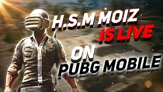 PUBG\BGMI LIVE STREAM ON EMULATOR | H.S.M MOIZ #21