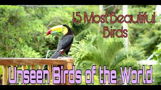 15 Most Beautiful Birds of the World |Rare Species|