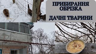 #12 Купили дачу/Дачні коти і собака/ Спроба затопити буржуйку другий раз/Обрізка калини та винограду