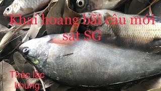 Hành trình khai hoang bã câu mới toàn thác lác khủng | Bazan Food