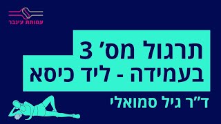 תרגול מס' 3 - בעמידה ליד כיסא - בהנחיית ד"ר גיל סמואלי פיזיותרפיסט מומחה בכאב