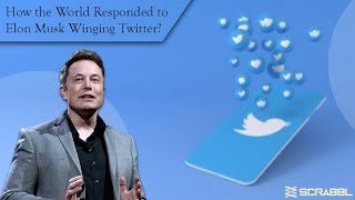 How the World Responded to Elon Musk Winging Twitter?