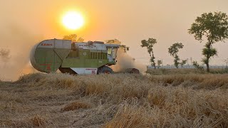 Class dominator 88s|The first machine in Pakistan to harvest wheat and straw together|پاکستان