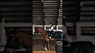 Очень старое видео #horse #конники #лошади #лошади_моя_жизнь #equestrian #edit #актив_вернись