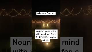 Immerse yourself in Wisdom