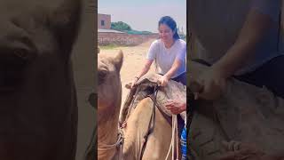 First time on camel😅 #priyankamongia #shorts #shortsvideo